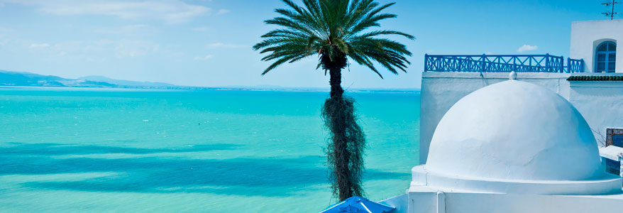 Des Vacances pas chères en Tunisie