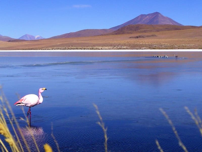 Voyage en solitaire en Bolivie au cœur de La Paz