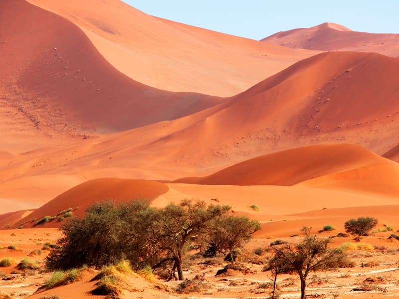 Du sandboarding dans le désert du Namib !