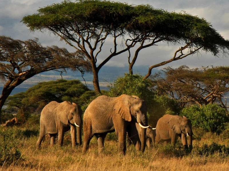 Afrique du Sud, une destination aux multiples charmes