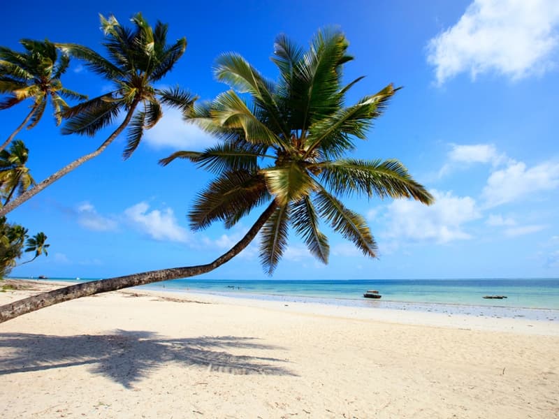 Zanzibar l île aux épices !