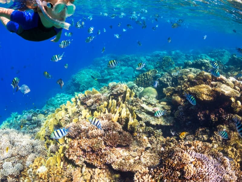 Mes premiers pas au Costa Rica