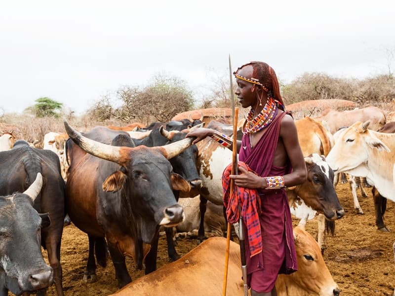 Le Kenya, une destination de choix pour les vacances