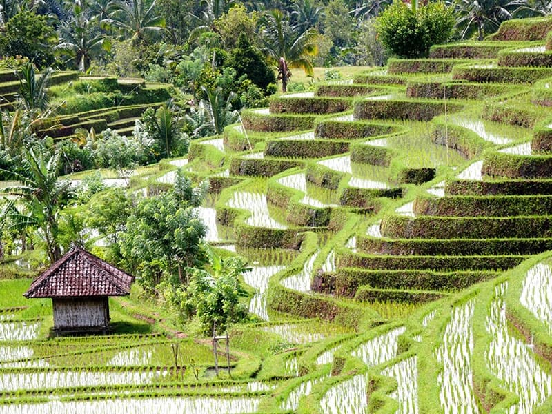 Les immanquables d’un voyage en couple au Vietnam