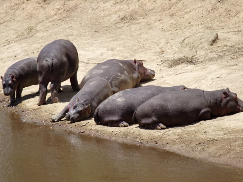 Kenya, une terre d’aventures exceptionnelles