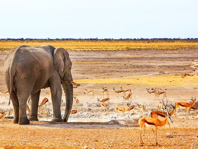 Voyage en Namibie : les sites incontournables