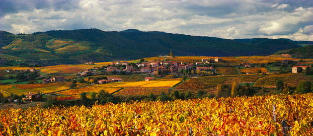 Le Pays Beaujolais, une localité incontournable