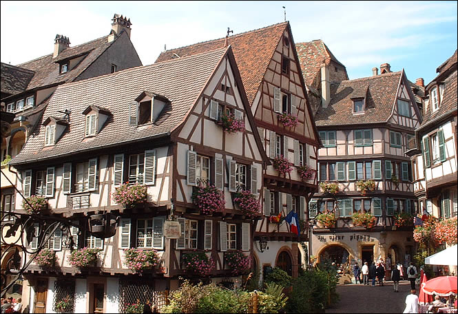 Colmar capitale du vin d’Alsace, visite guidée