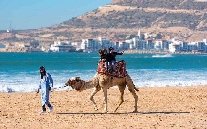 Voyage au Maroc : Conseils et informations