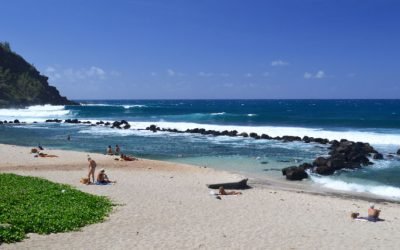 Deux locations de vacances avec piscine en bord de mer à la Réunion